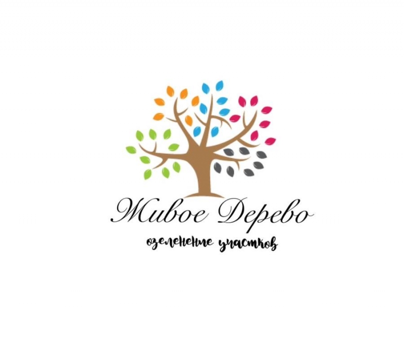 ����e�e��e �epp��op�� ������� �py��o�e��� c �apa����� �p�����e�oc��